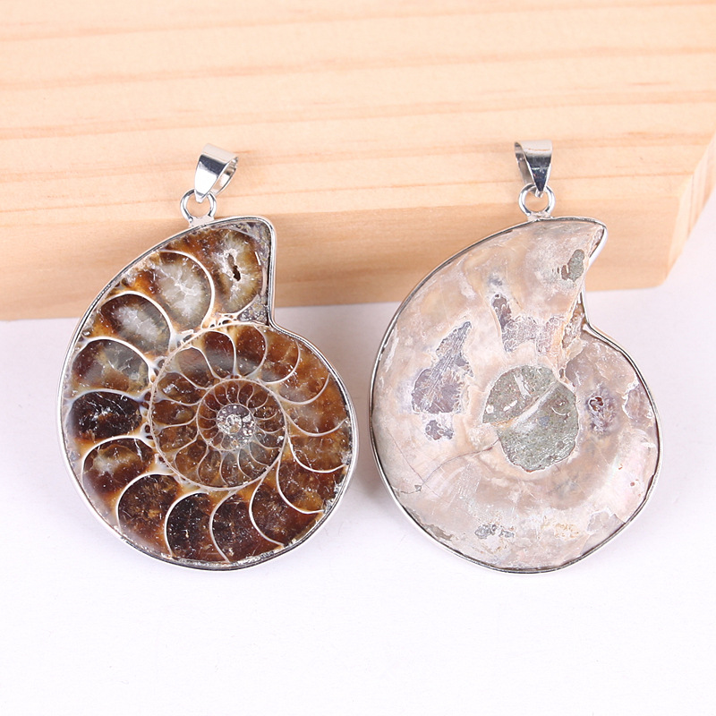 Wholesale best quality 1.5 inch natural stone ammonite conch fossil pendant necklace crystal healing stone for gift