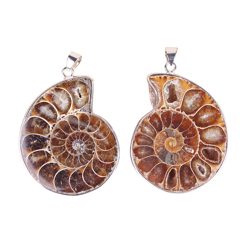 Wholesale best quality 1.5 inch natural stone ammonite conch fossil pendant necklace crystal healing stone for gift