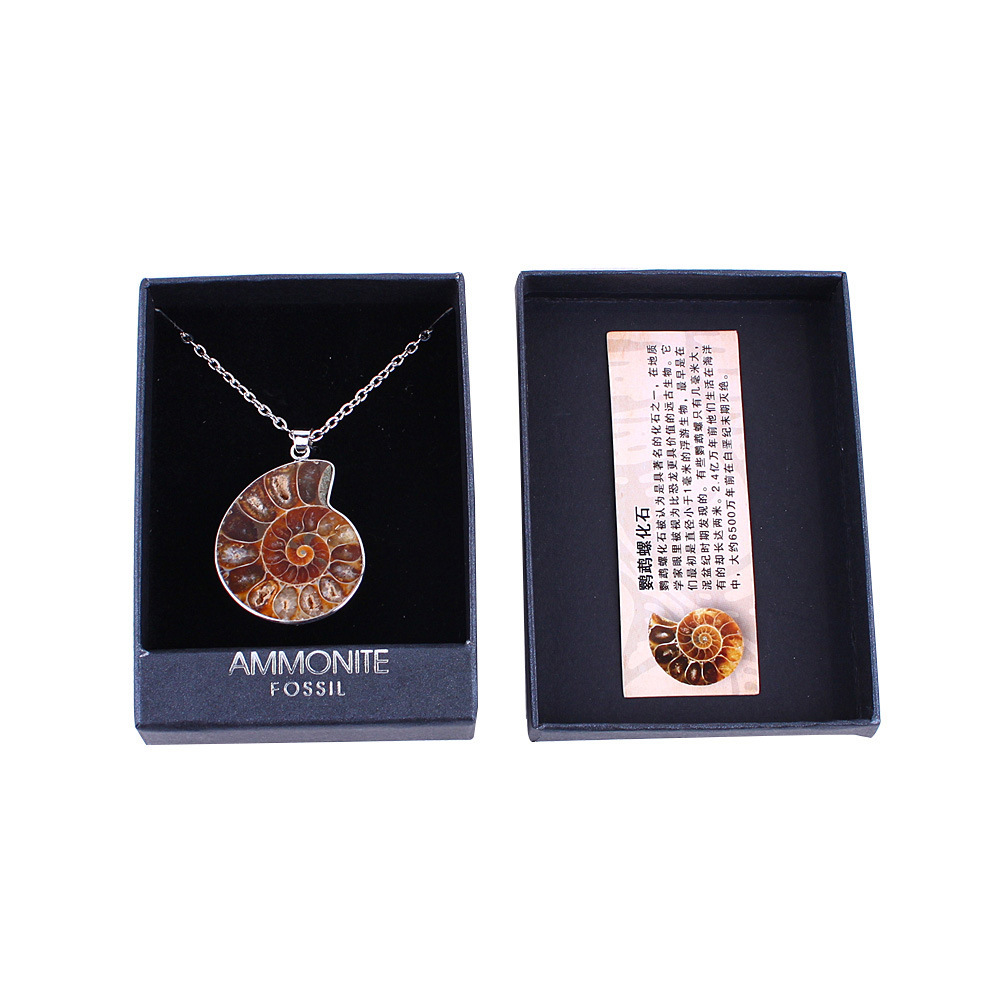 Wholesale high quality natural stone ammonite conch fossil pendant necklace crystal healing stone gift