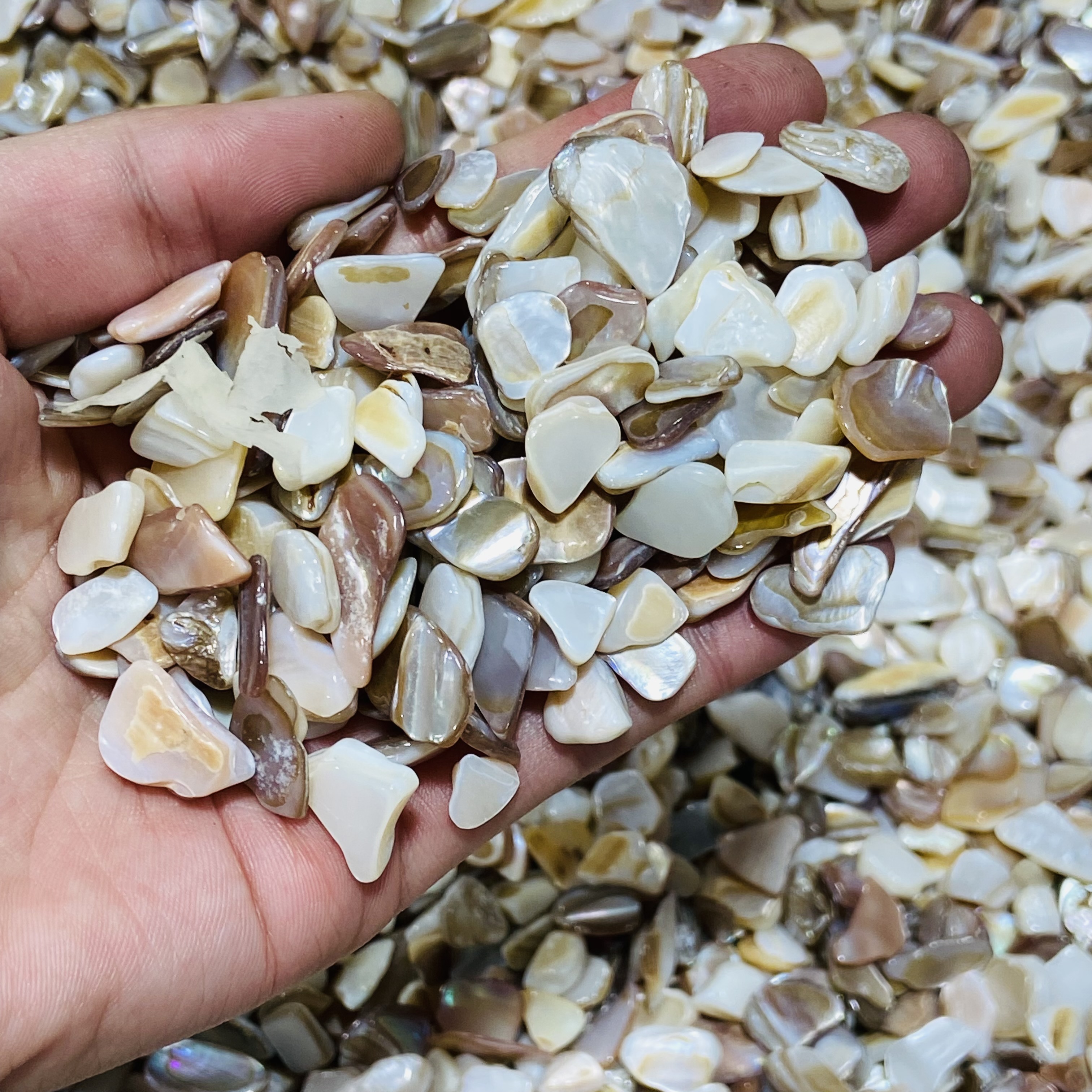 Natural Crystal Stone Beautiful reiki healing shell crushed stone crystal tumble stones for gifts