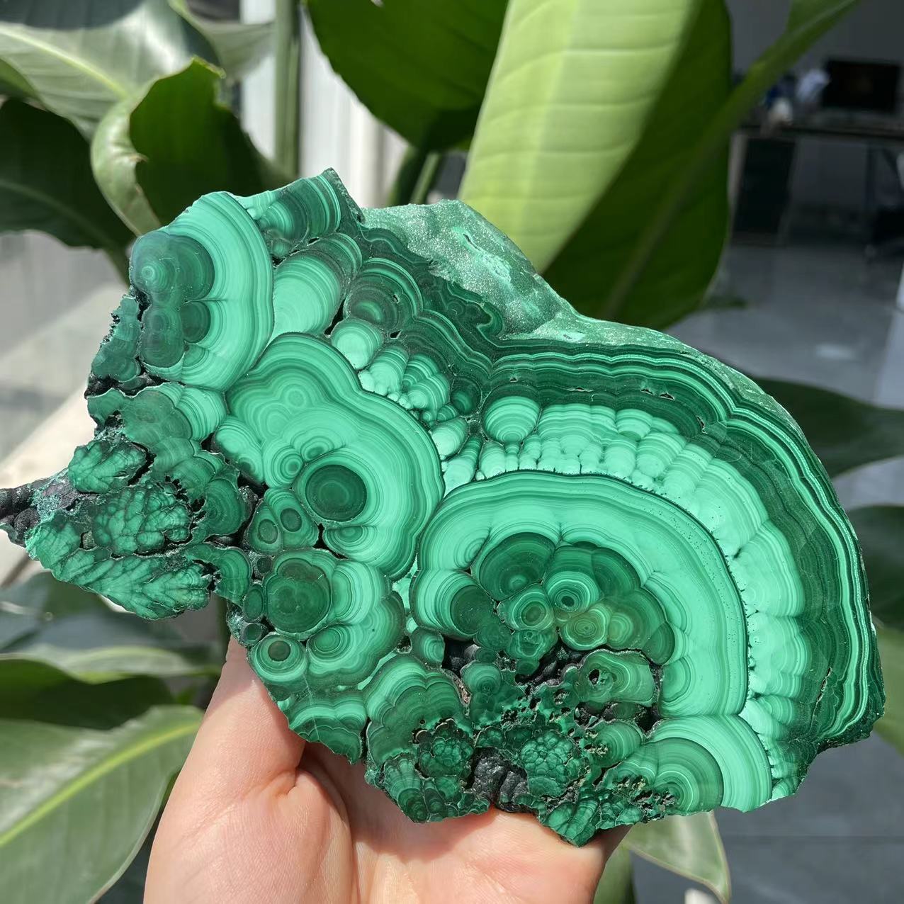 Natural crystal green malachite price wholesale polished healing malachite slice rough stone for decoration