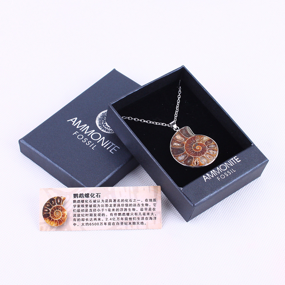 Wholesale high quality natural stone ammonite conch fossil pendant necklace crystal healing stone gift