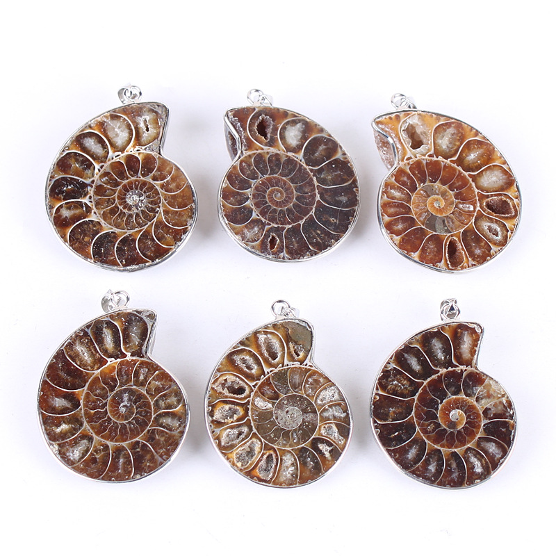 Wholesale best quality 1.5 inch natural stone ammonite conch fossil pendant necklace crystal healing stone for gift