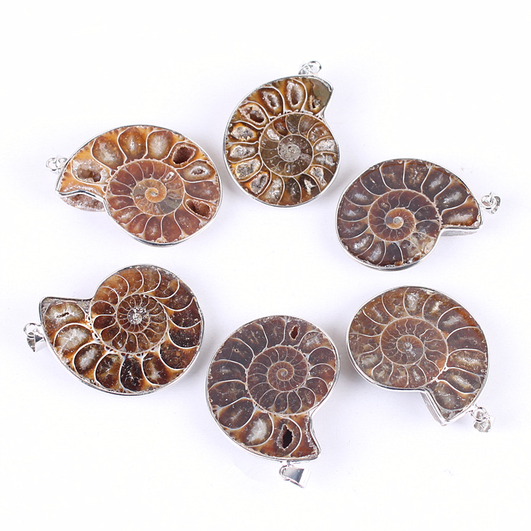 Wholesale best quality 1.5 inch natural stone ammonite conch fossil pendant necklace crystal healing stone for gift