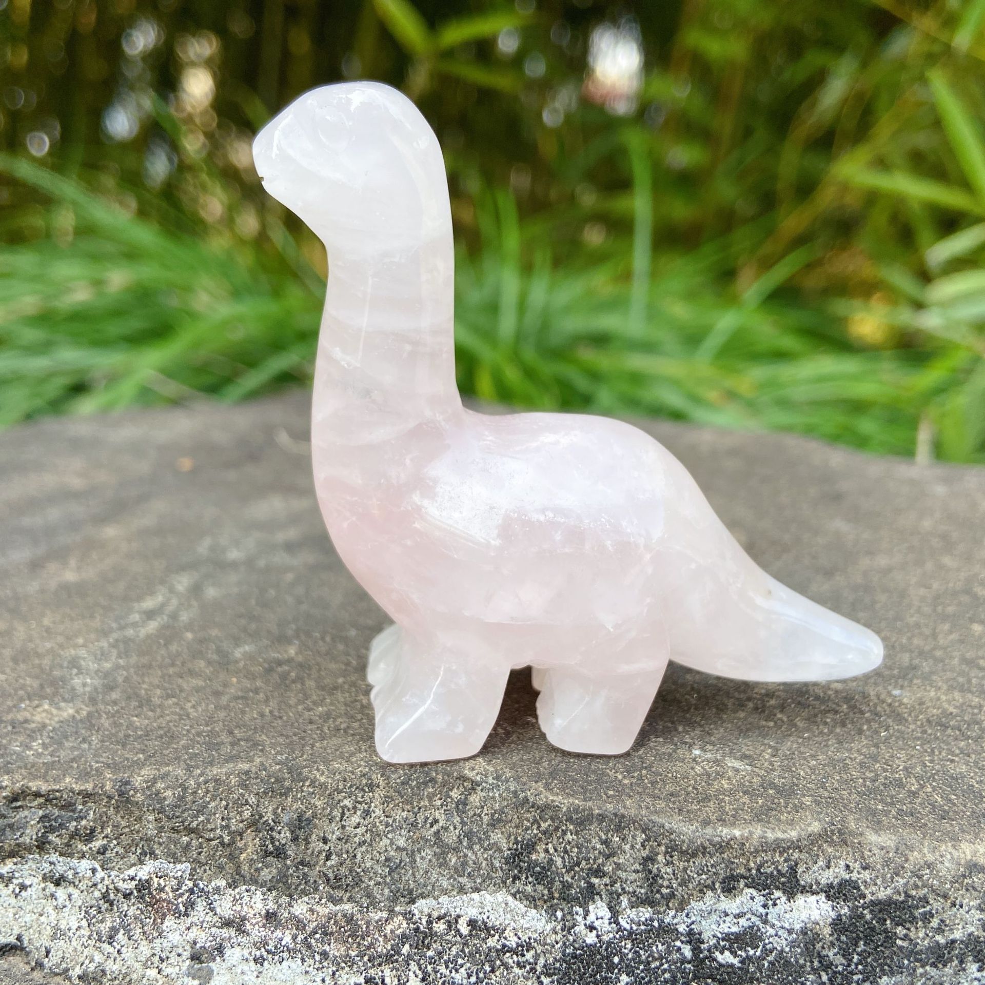 High quality Natural Crystal Jade Animal Hand Carved Crafts Healing Polished 2.5-Inch Crystal Carving Dinosaur For Gifts