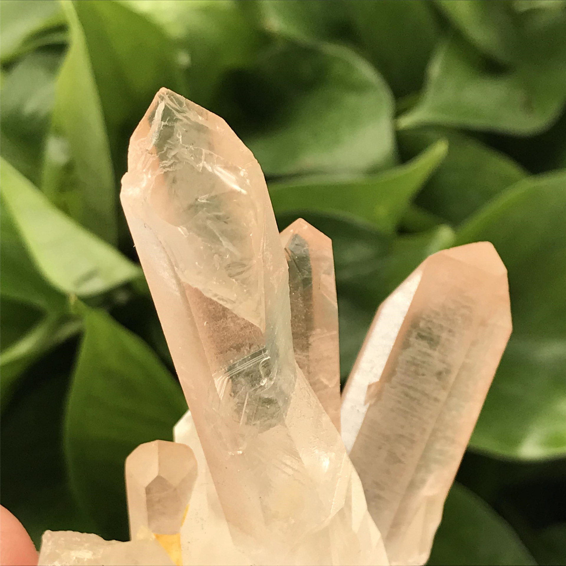 SAMEI JEWELRY high quality natural quartz crystal clear Crystal Cluster crystals healing stones good price